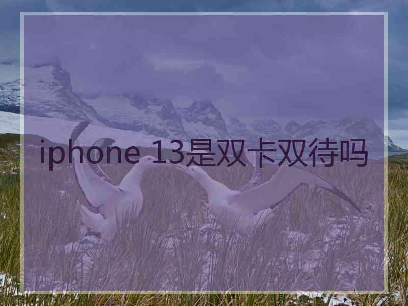 iphone 13是双卡双待吗