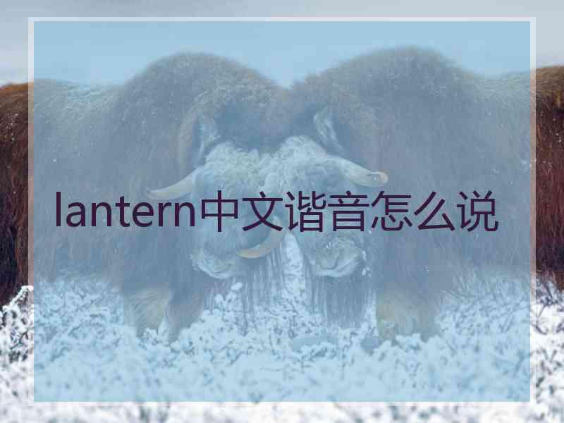 lantern中文谐音怎么说