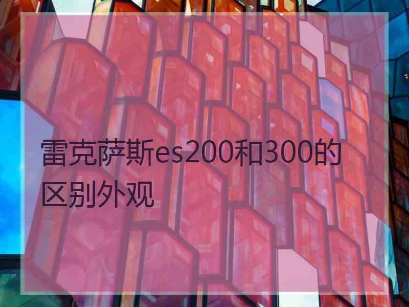 雷克萨斯es200和300的区别外观