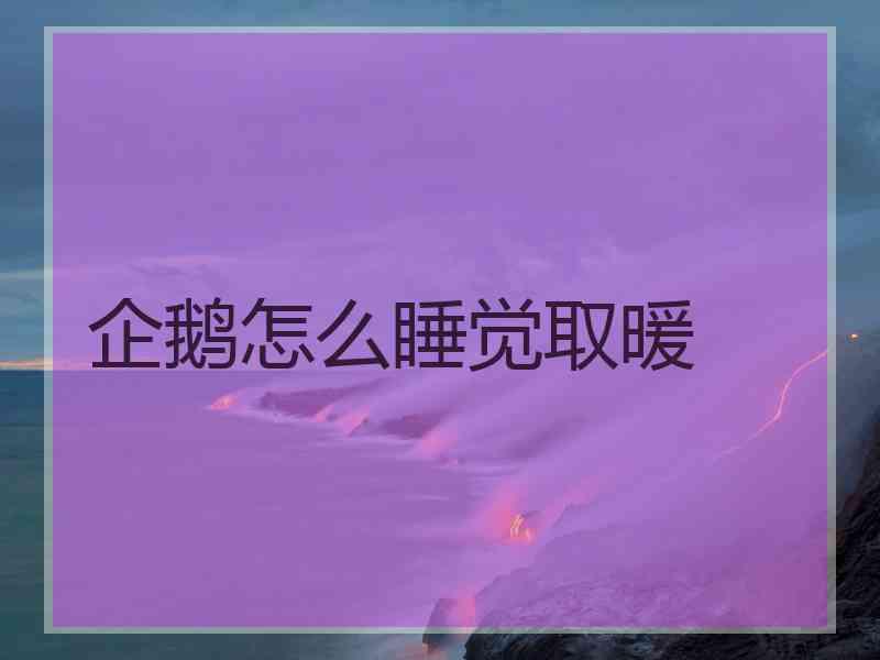 企鹅怎么睡觉取暖