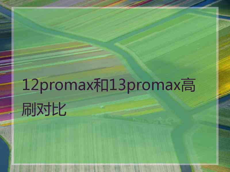 12promax和13promax高刷对比