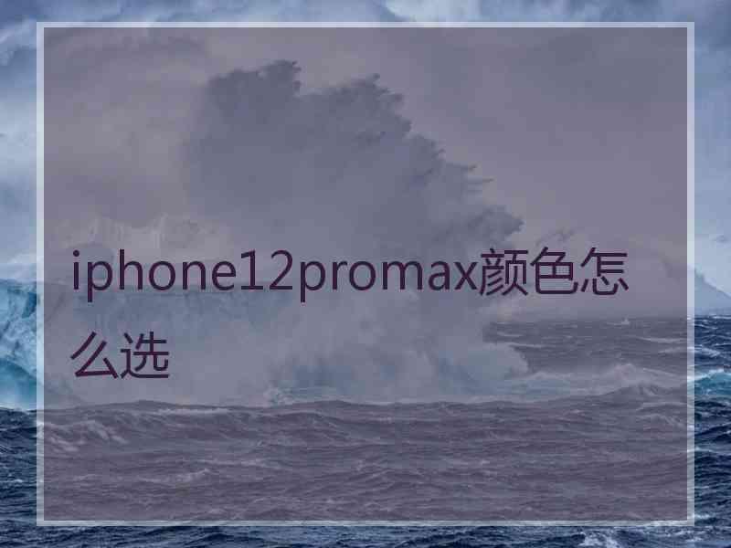 iphone12promax颜色怎么选