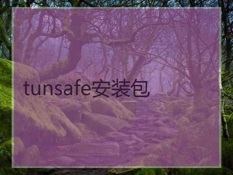 tunsafe安装包