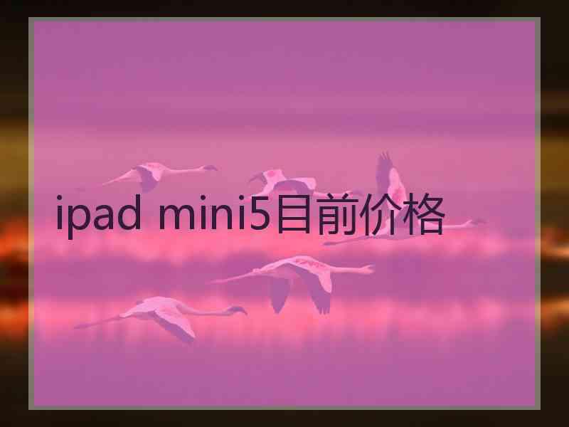 ipad mini5目前价格