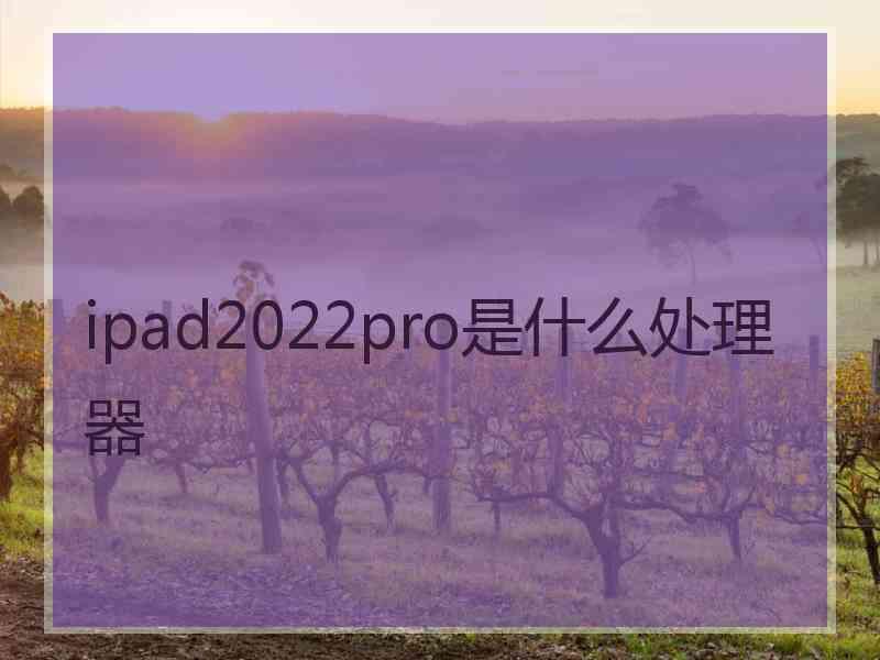 ipad2022pro是什么处理器