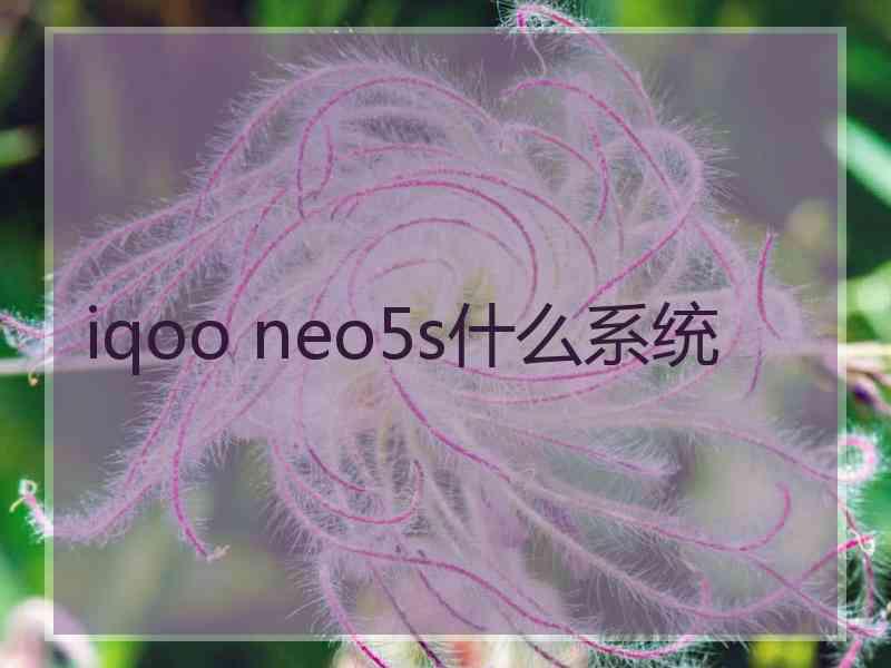 iqoo neo5s什么系统