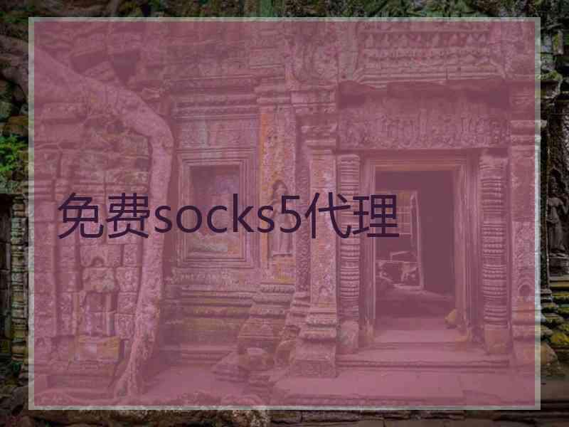 免费socks5代理