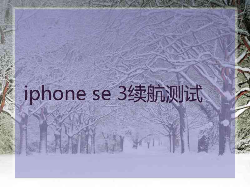 iphone se 3续航测试