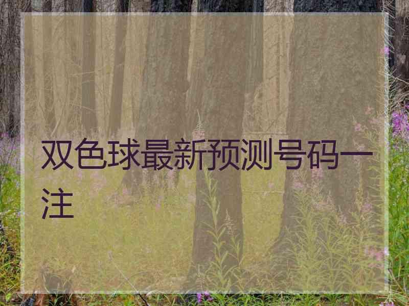 双色球最新预测号码一注