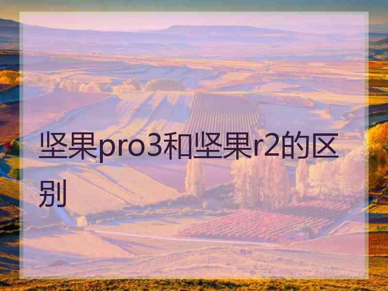 坚果pro3和坚果r2的区别