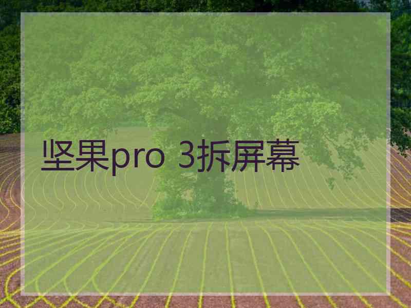 坚果pro 3拆屏幕