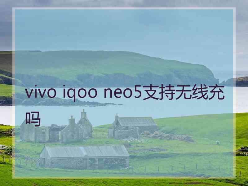 vivo iqoo neo5支持无线充吗