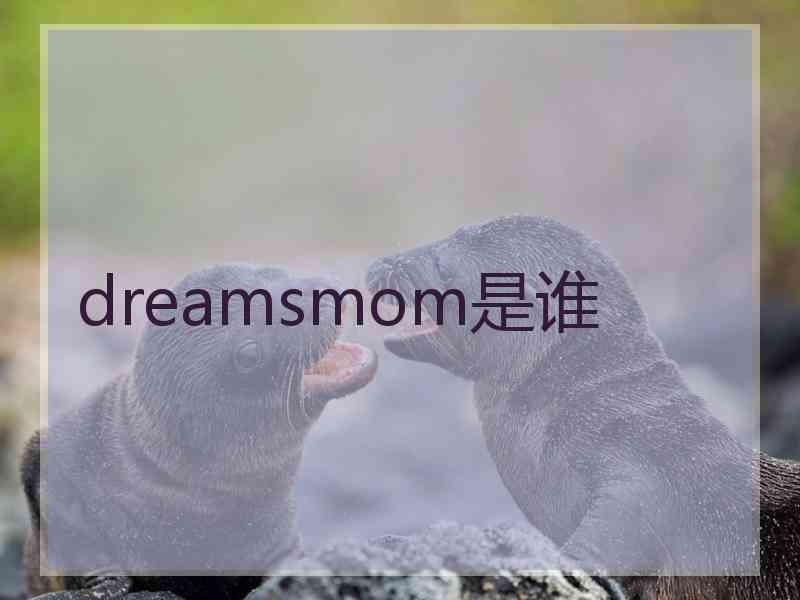 dreamsmom是谁