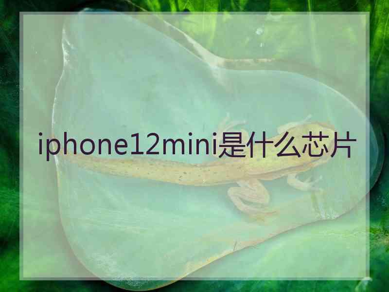 iphone12mini是什么芯片