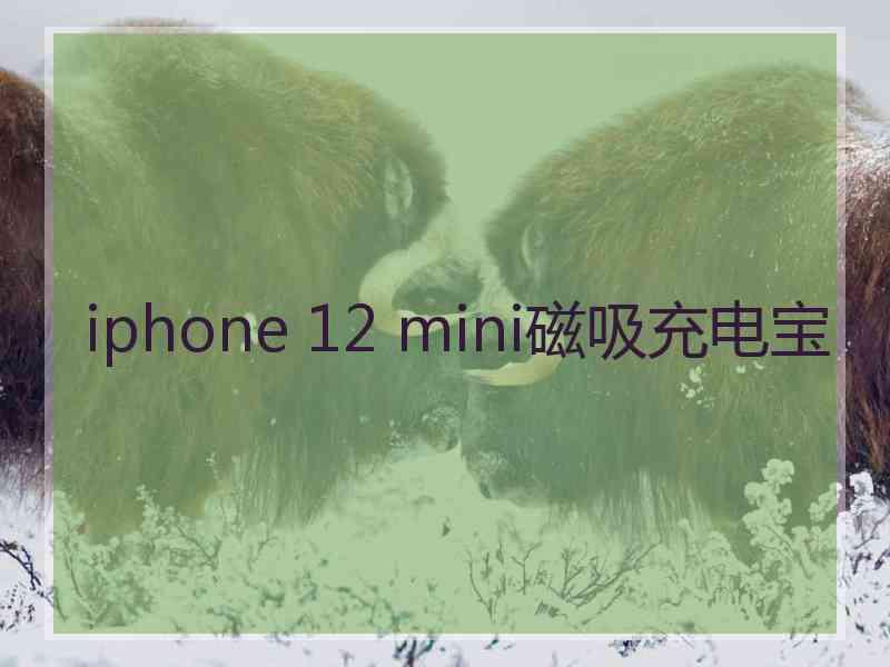 iphone 12 mini磁吸充电宝