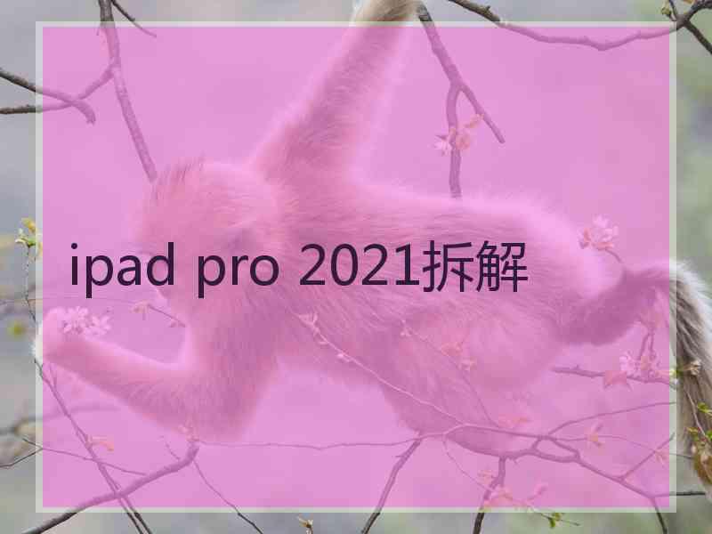 ipad pro 2021拆解