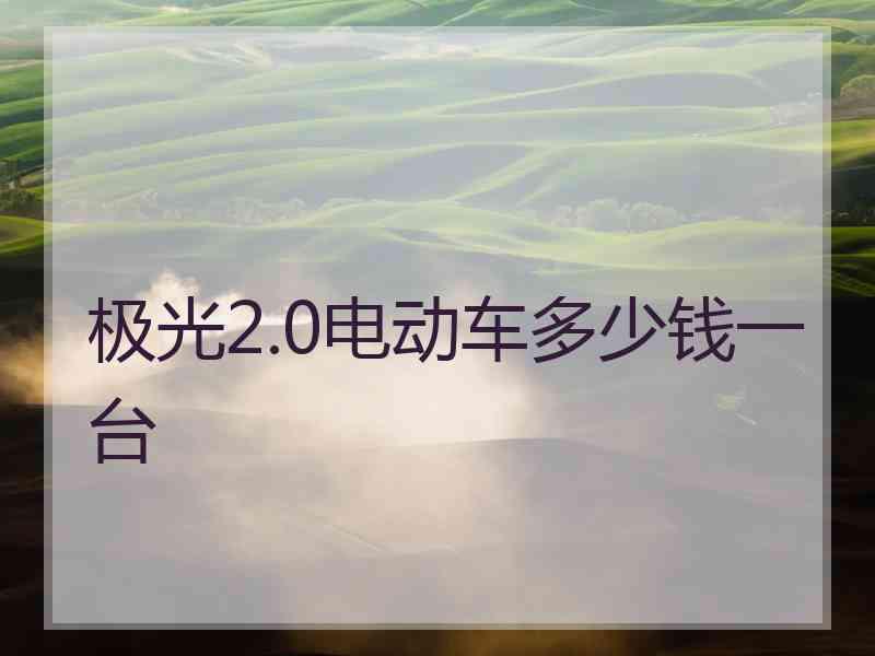 极光2.0电动车多少钱一台