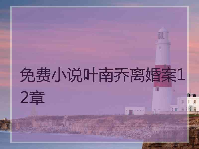 免费小说叶南乔离婚案12章