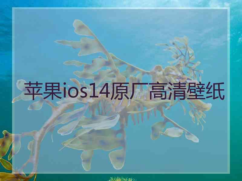 苹果ios14原厂高清壁纸