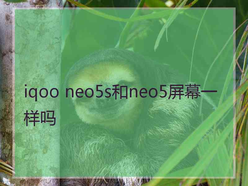 iqoo neo5s和neo5屏幕一样吗