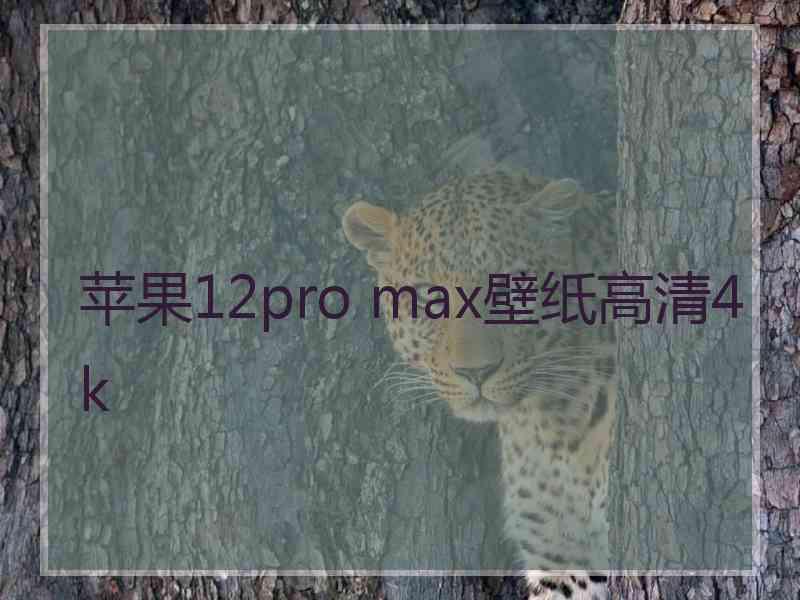 苹果12pro max壁纸高清4k