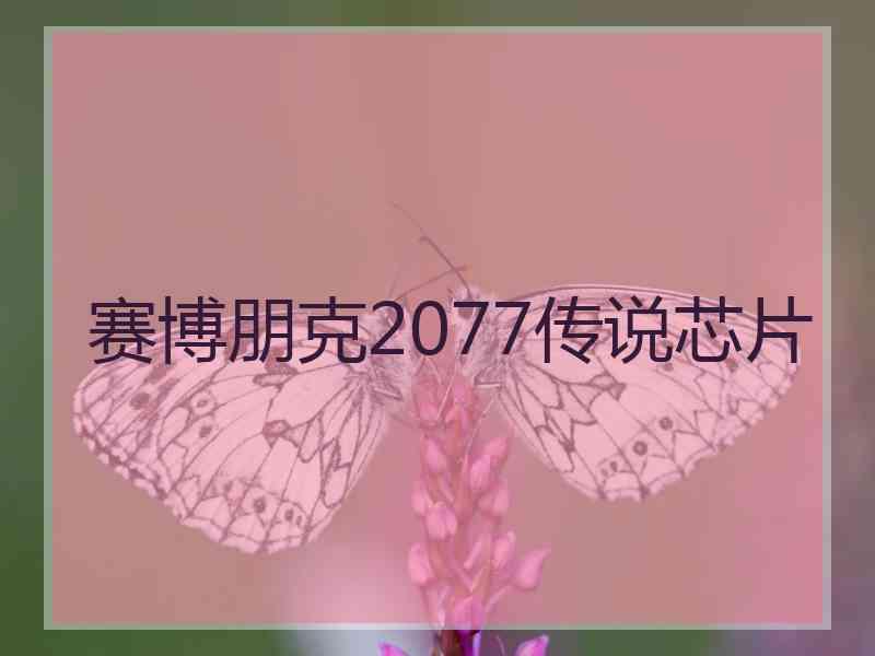 赛博朋克2077传说芯片