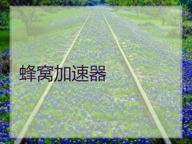 蜂窝加速器