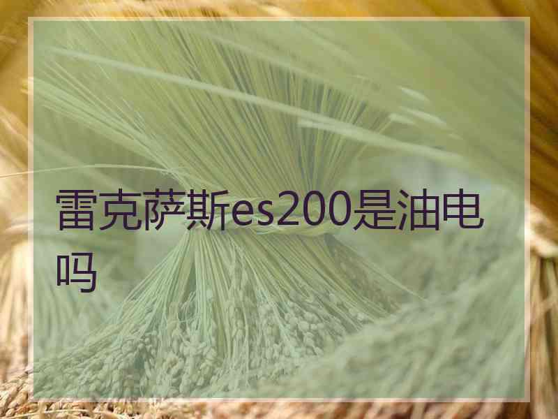 雷克萨斯es200是油电吗