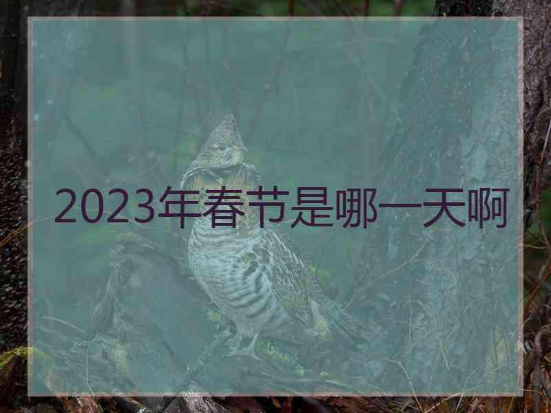 2023年春节是哪一天啊