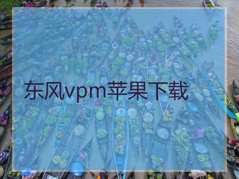 东风vpm苹果下载