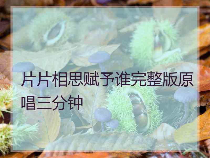 片片相思赋予谁完整版原唱三分钟