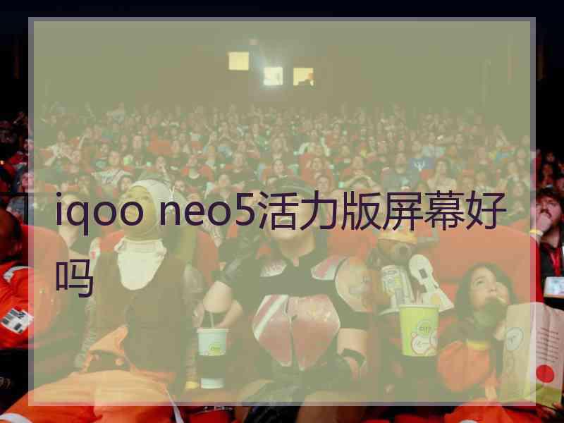 iqoo neo5活力版屏幕好吗