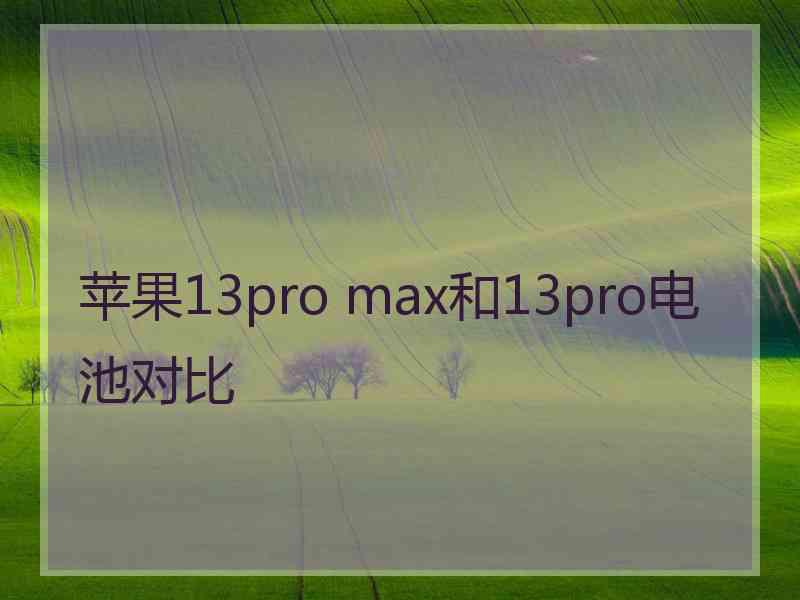 苹果13pro max和13pro电池对比