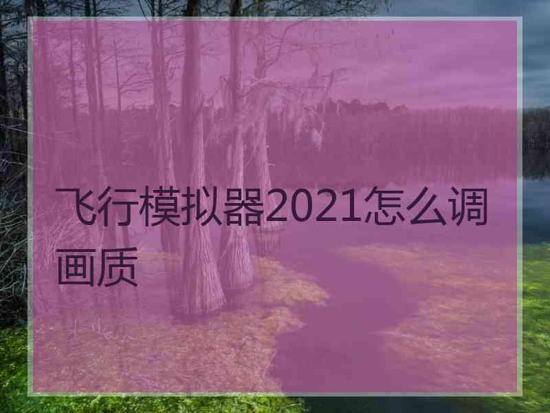 飞行模拟器2021怎么调画质