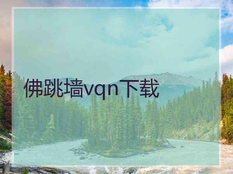 佛跳墙vqn下载