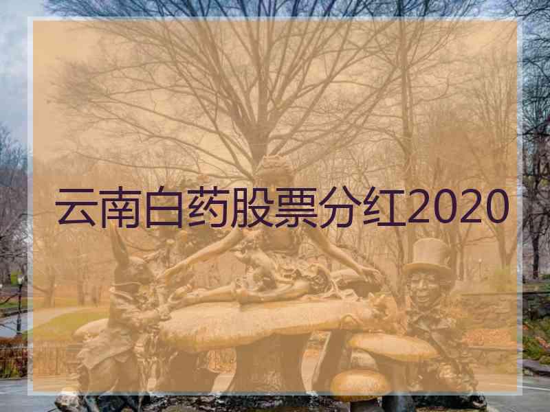 云南白药股票分红2020