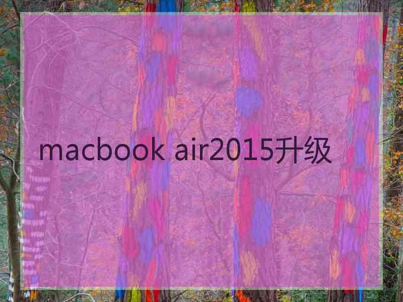 macbook air2015升级