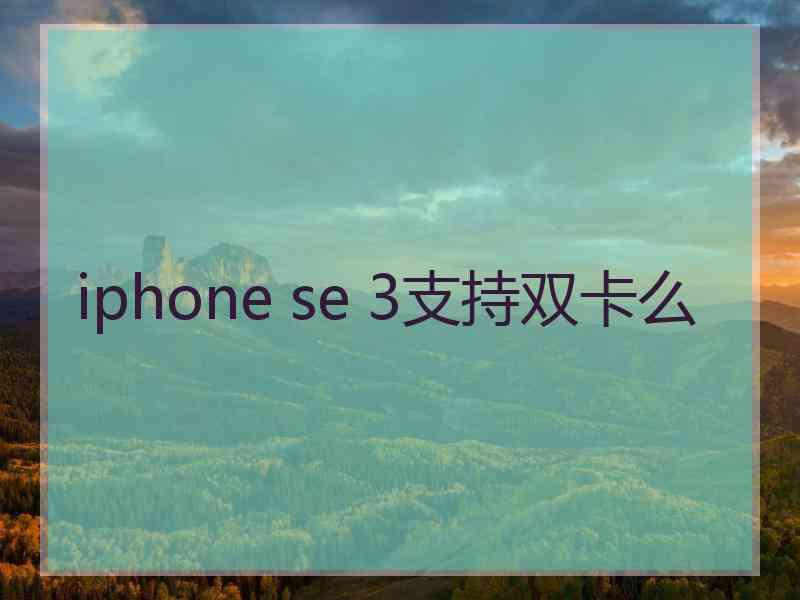 iphone se 3支持双卡么