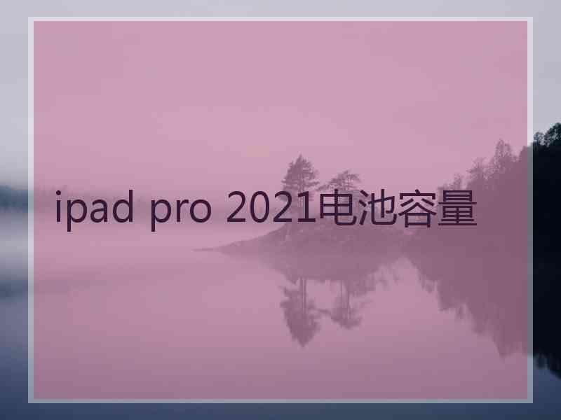 ipad pro 2021电池容量