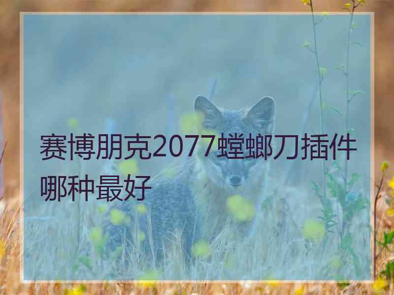 赛博朋克2077螳螂刀插件哪种最好