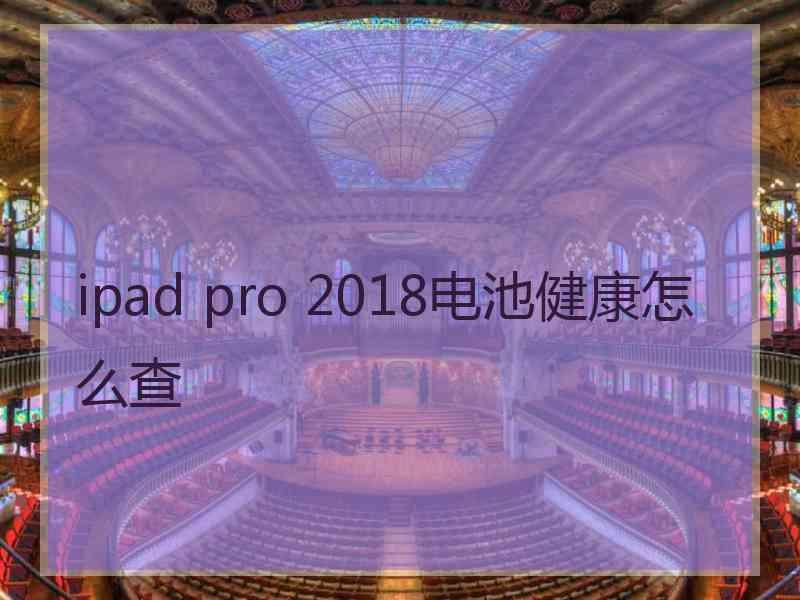 ipad pro 2018电池健康怎么查