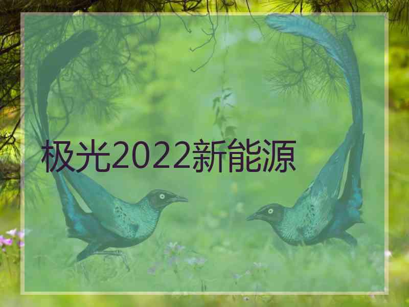 极光2022新能源