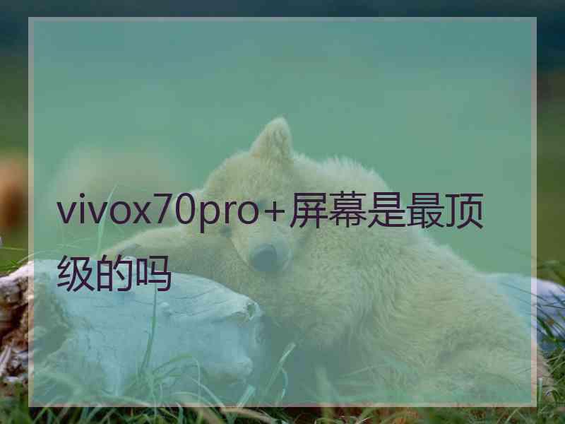 vivox70pro+屏幕是最顶级的吗