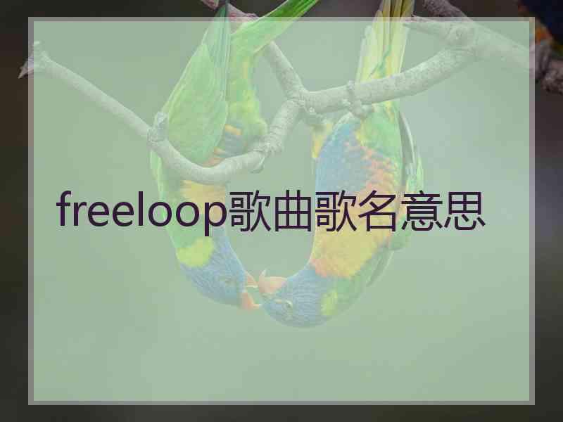 freeloop歌曲歌名意思