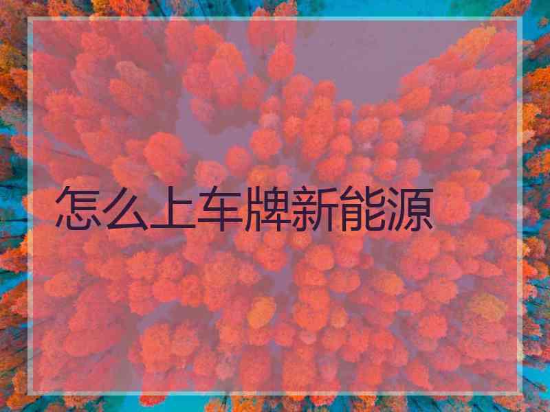 怎么上车牌新能源