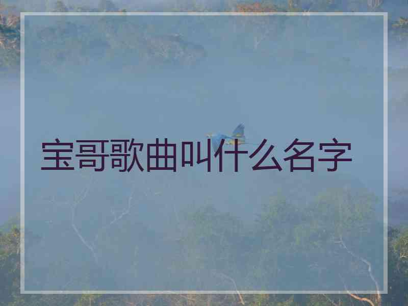 宝哥歌曲叫什么名字