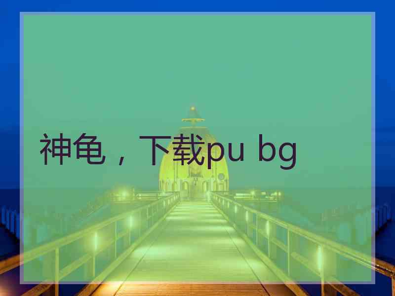 神龟，下载pu bg