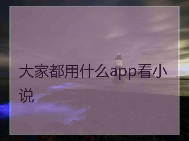 大家都用什么app看小说