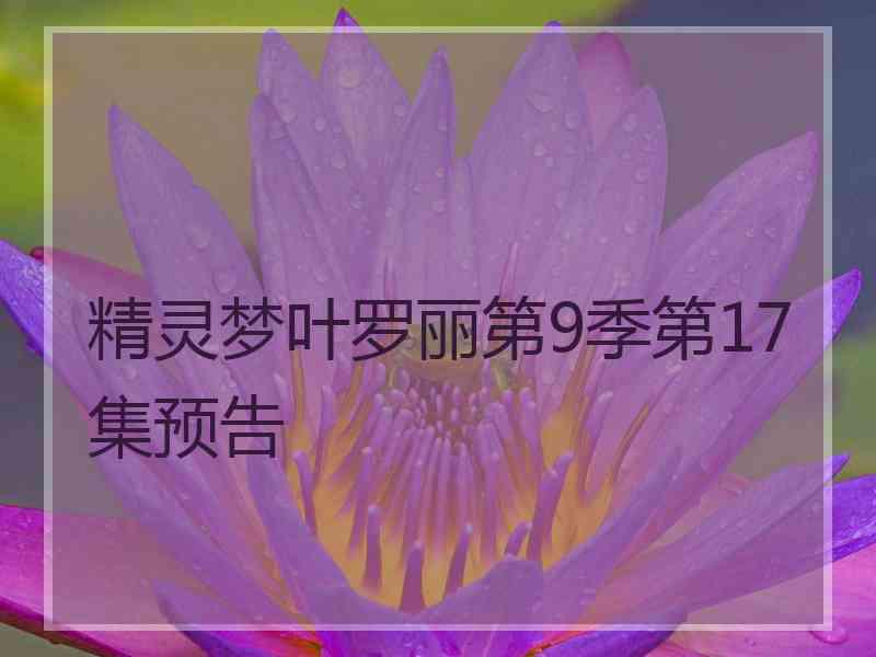 精灵梦叶罗丽第9季第17集预告