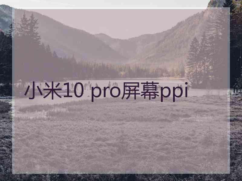 小米10 pro屏幕ppi